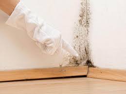 Best Environmental Consulting for Mold Prevention  in Mcgehee, AR